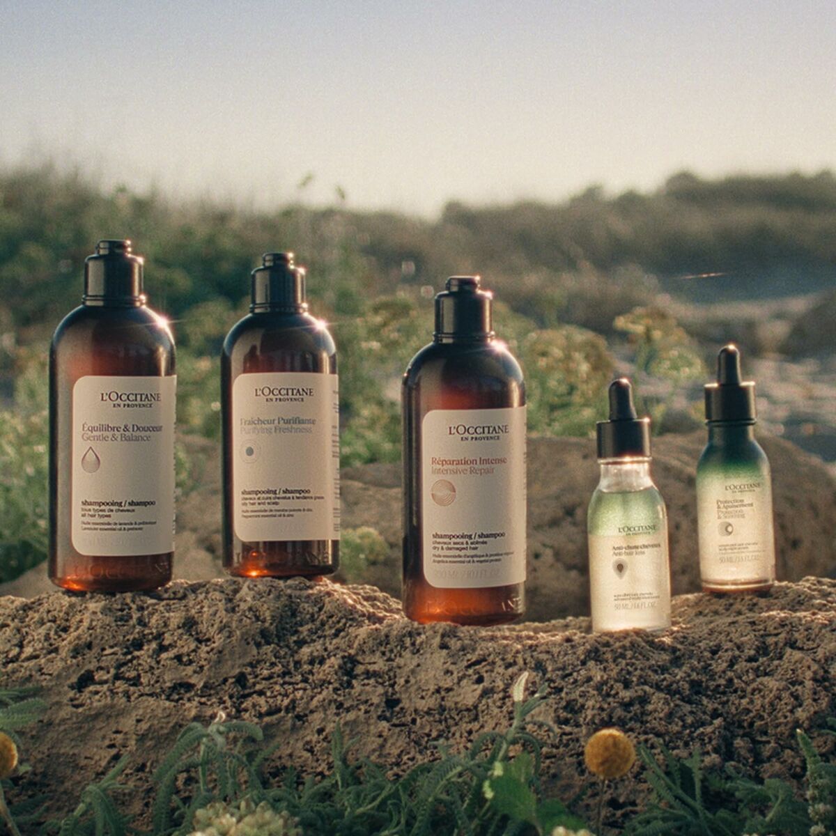 V3H27D3C7BE98441E614A2766BC0D6FEF44R6240845P7