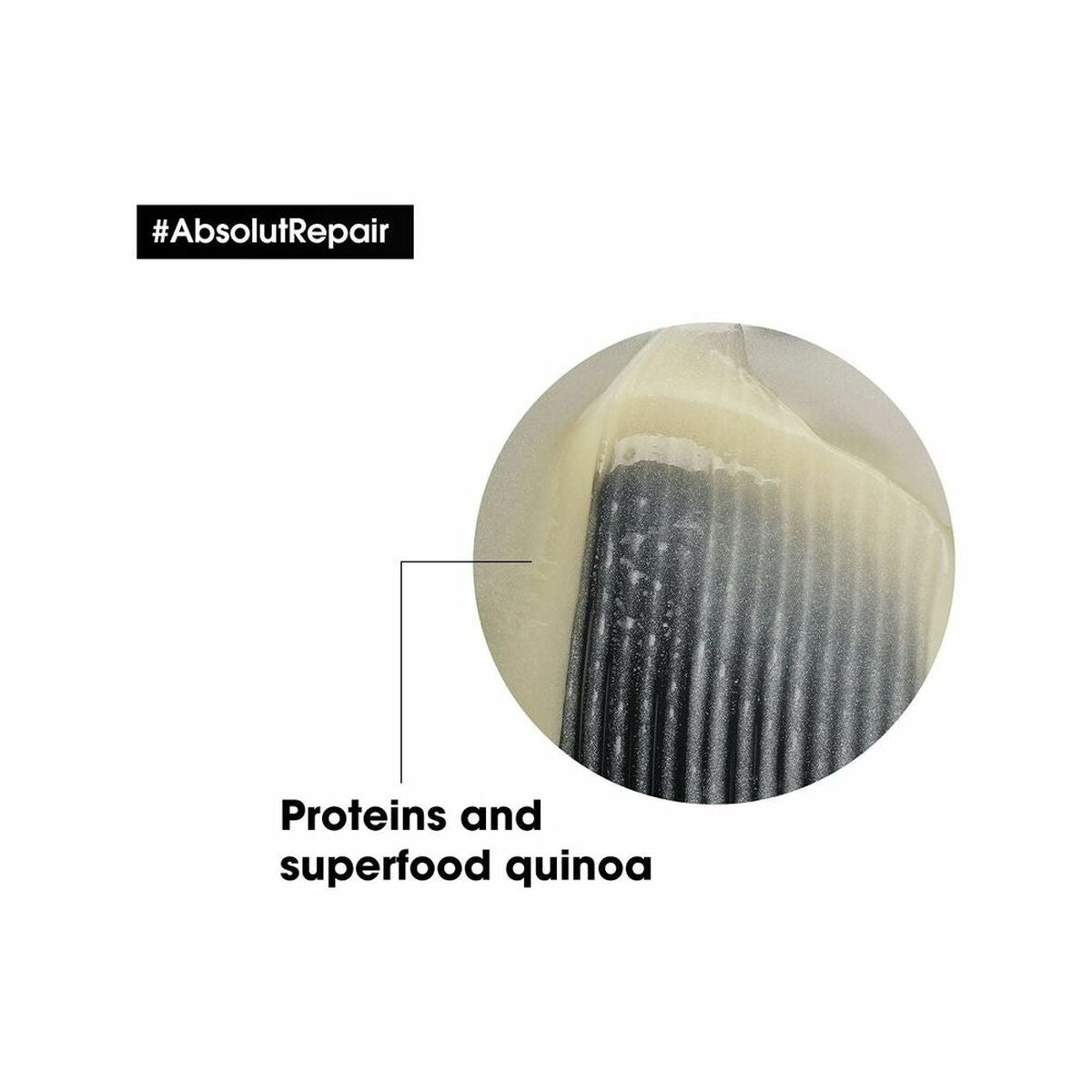 V13HE480BE72A8C78BB19C6EB7F5BD7645CDR3335429P2