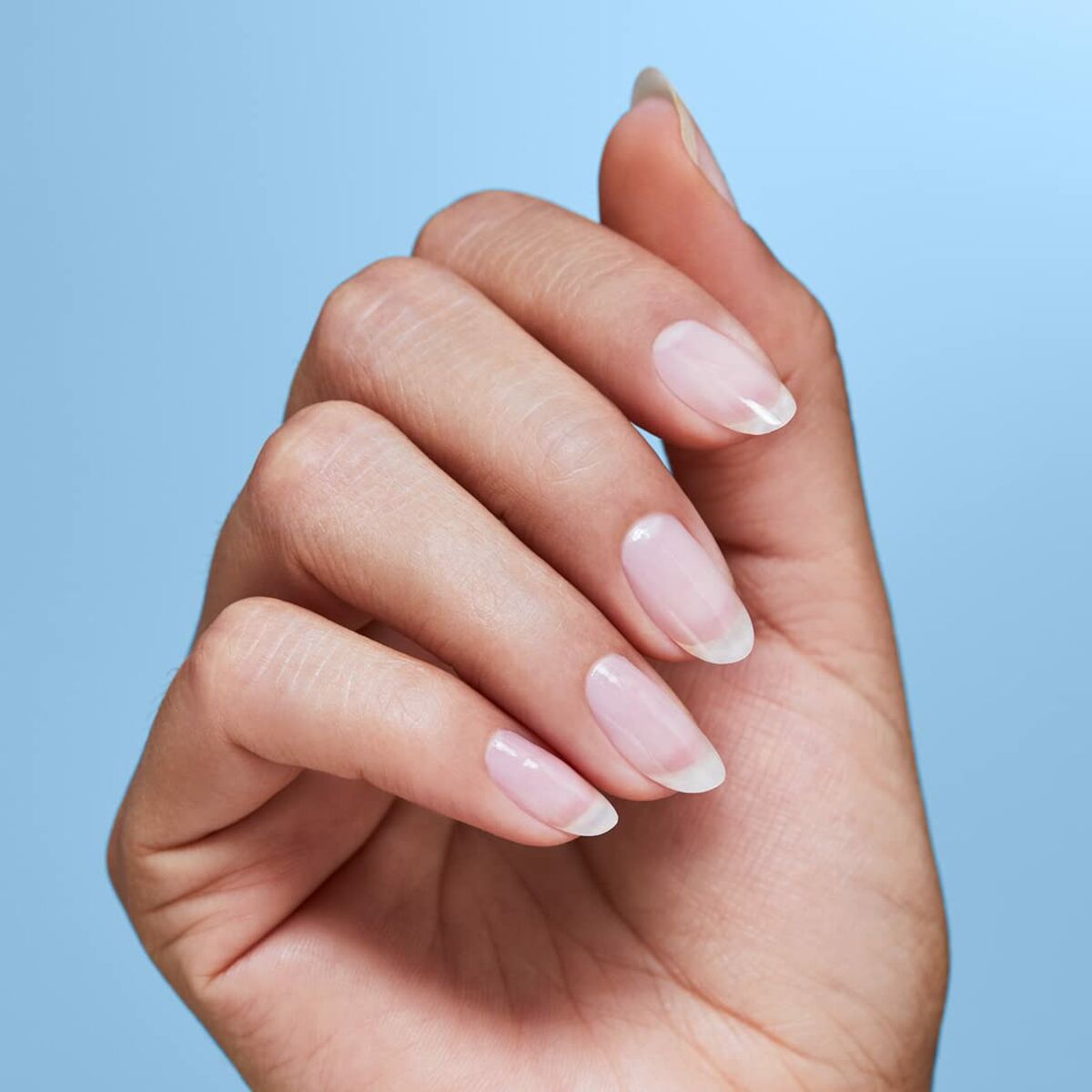 V6H4E2565C1E5C60AF02393919CD42CA7B8R4549793P4