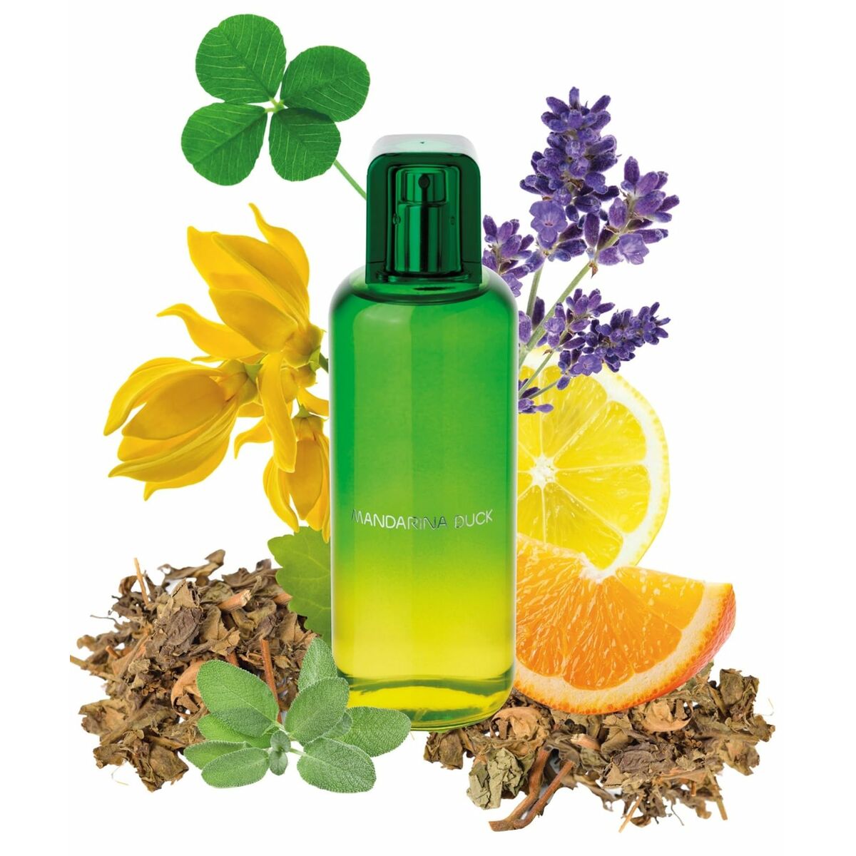 V6H1213695923BABBE8B55AA3E7C228E509R4668379P3