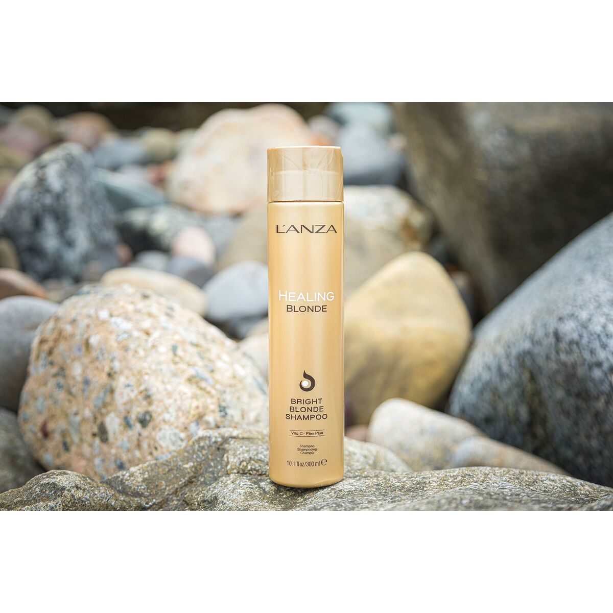 V2HF65E103C2BE68D79F910B9E547400CD8R7821124P3