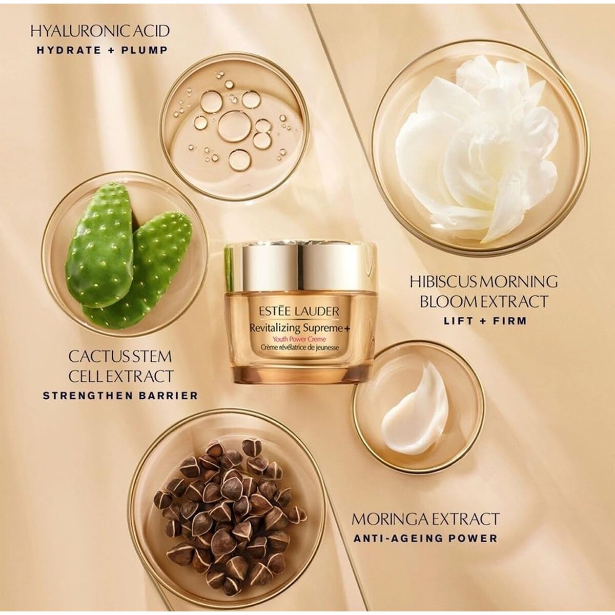 V2HEC59F22D47524E518BCF1A6111F2A9A6R7439318P2