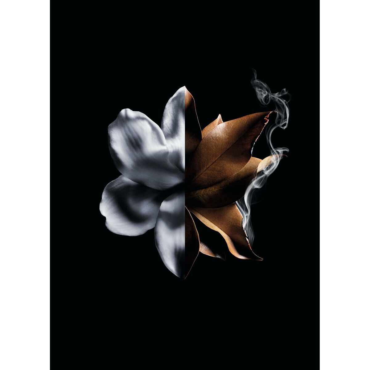 V5HA94868E4507C3D603F80BBACB150FA25R6240162P6