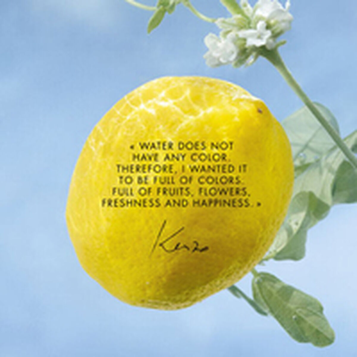 V3HAE41DEC245A48428A2777FE1055C546FR6237861P3