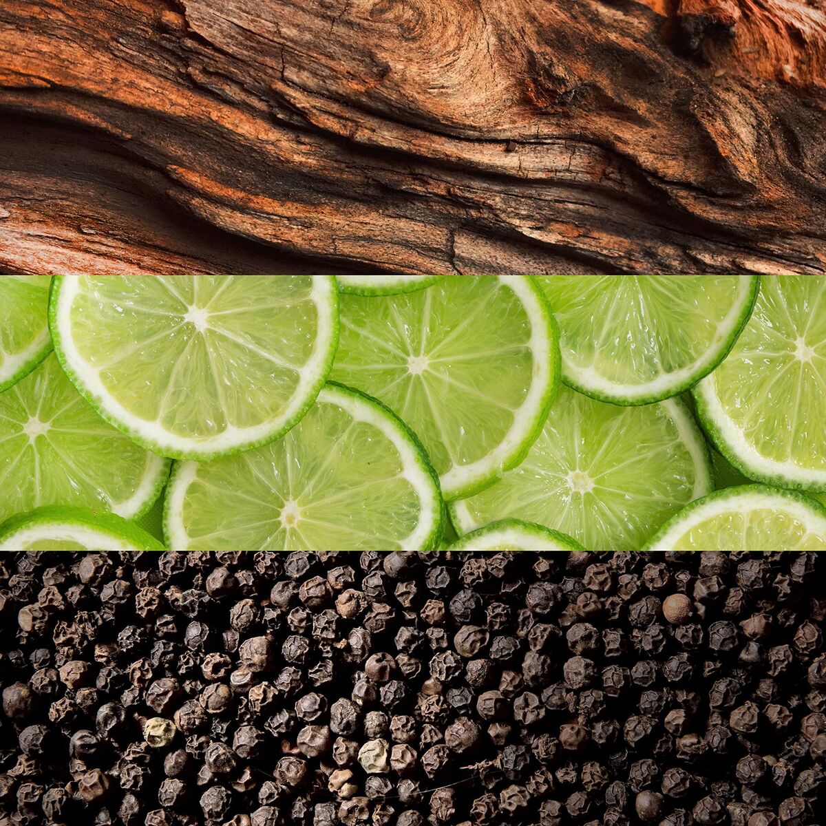 V2H5170B7D605A62BE829F37E2CBC10AA70R7785918P3