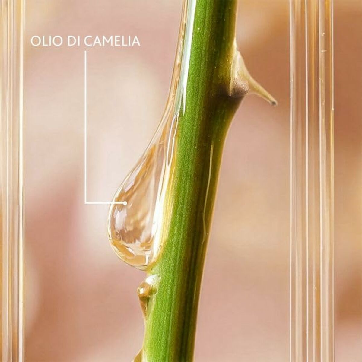 V5H85101D389947B8B428C66C68ED9659BBR5608847P2