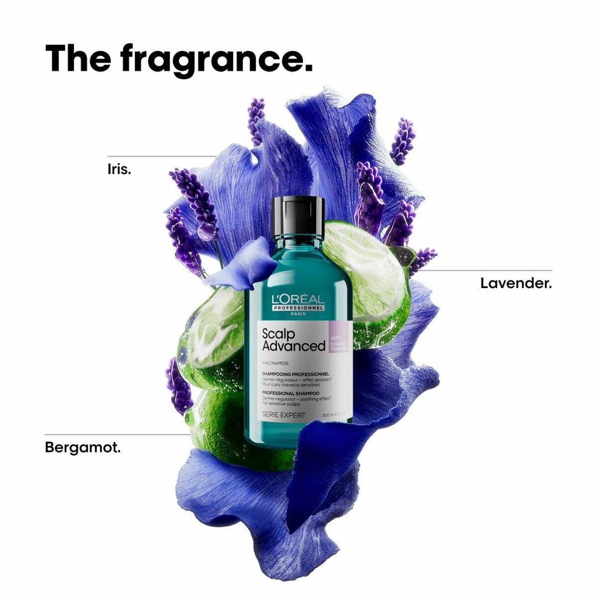 V4H480E2B76B98E8C2E8B452F96B486186BR6713850P5