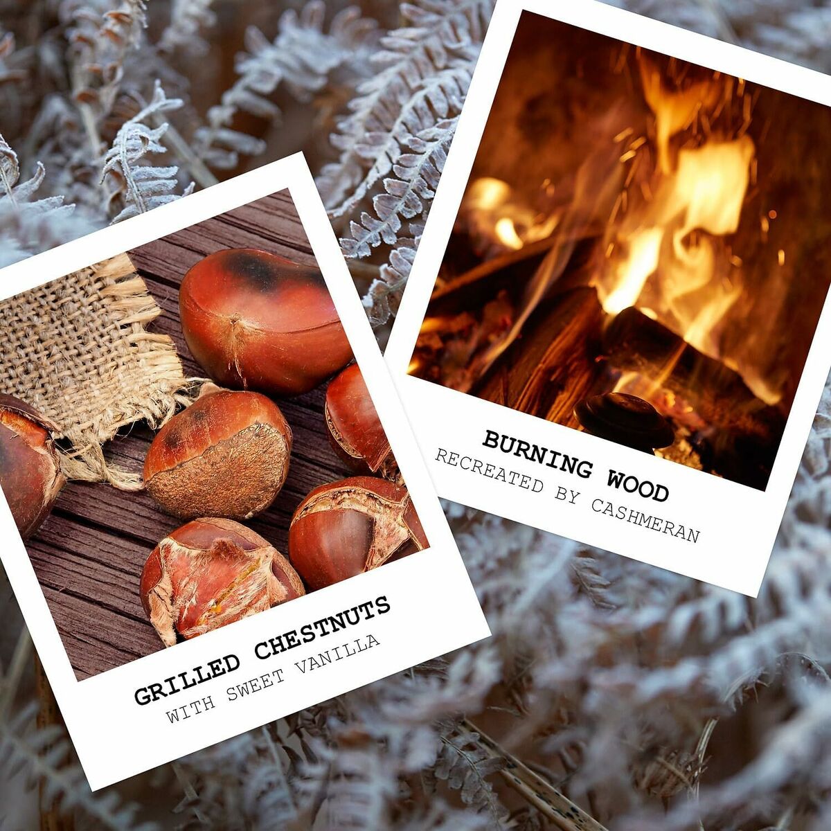 V5H713073F15294CC89A23C175ADAF40A2FR6012047P4