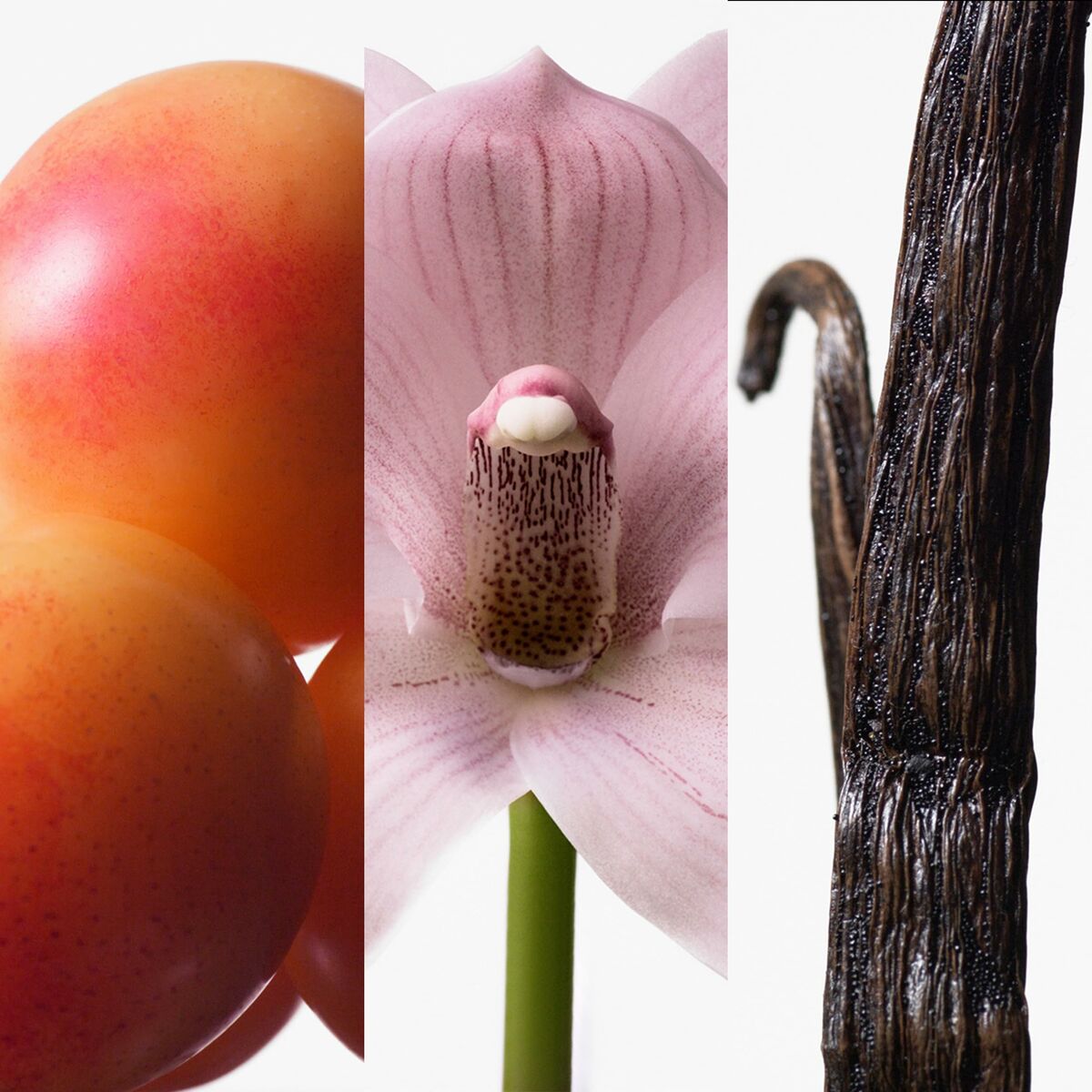 V4H420C6247E3FC70A93A6C9AE4C1FBEA15R6446337P3