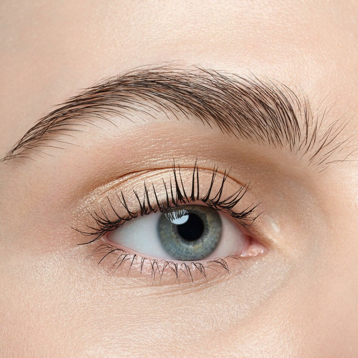 V2H5A3DD9A2E29B61AB24651A74BBF9F551R7493982P8