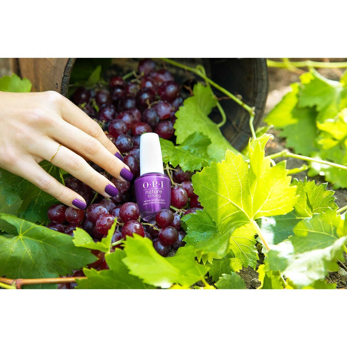 V4H169295B4D9E825DE45FF5BD566999704R7238845P5