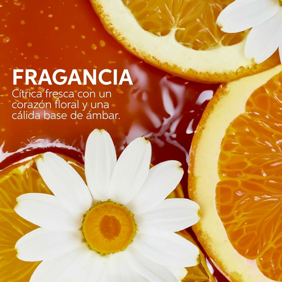 V3H0073C5709E65F83BA6019D0E669FA465R5607811P10