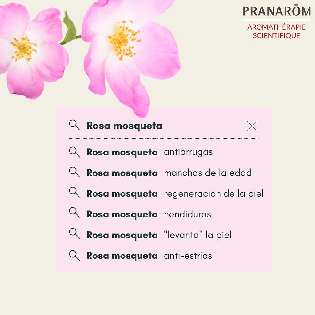 V7H3DE527E1D7BB649841ACCF001054B4BDR7731006P2