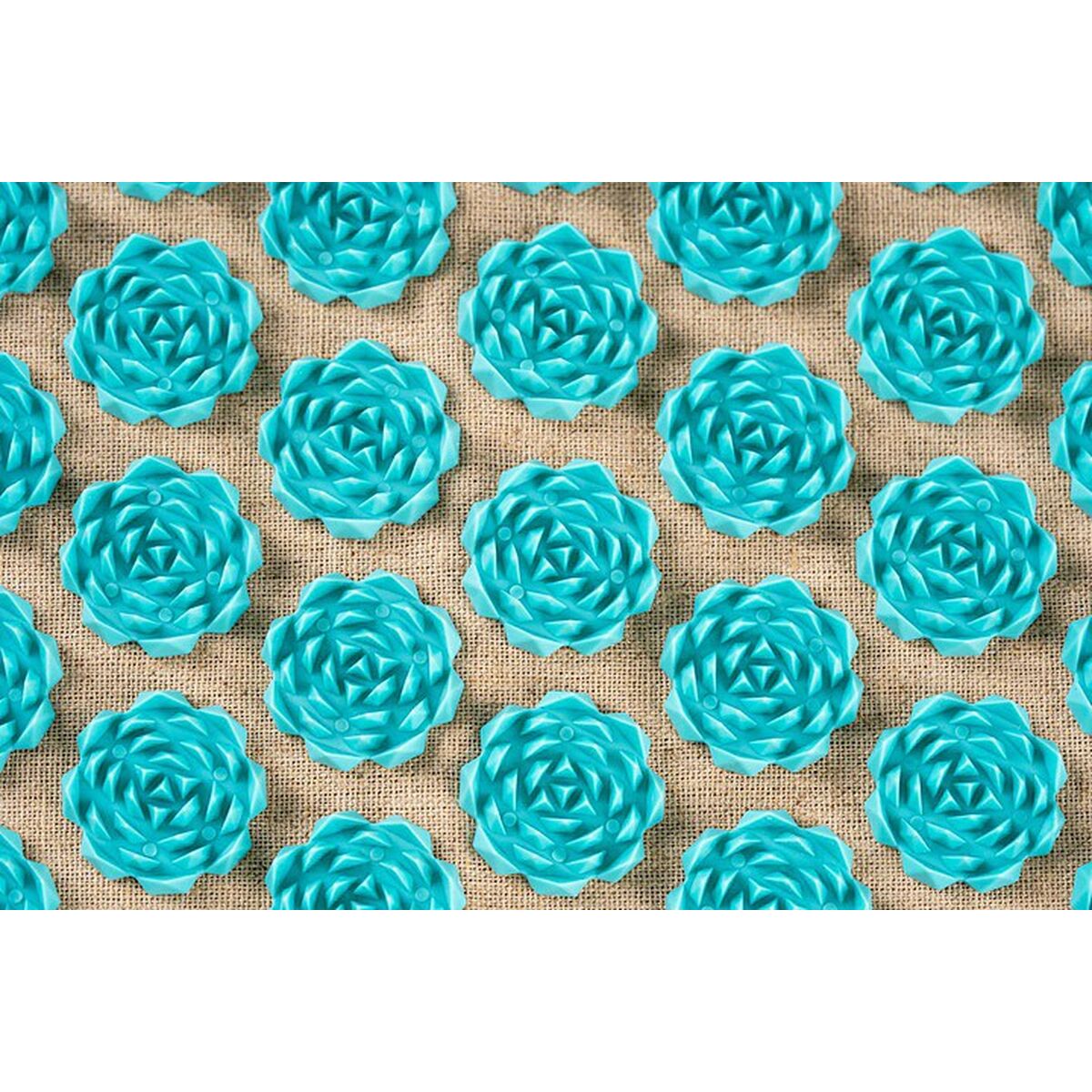 V5H50A1A08B3FC3C3330C33C0C66B4FA5C9R6281322P6