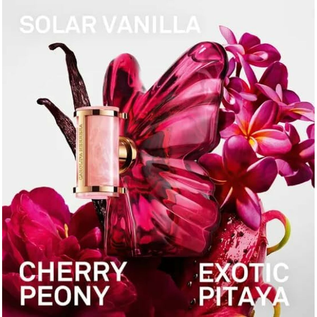 V4H504242E84BEEEA4B2D1C708E92841A94R7487133P3