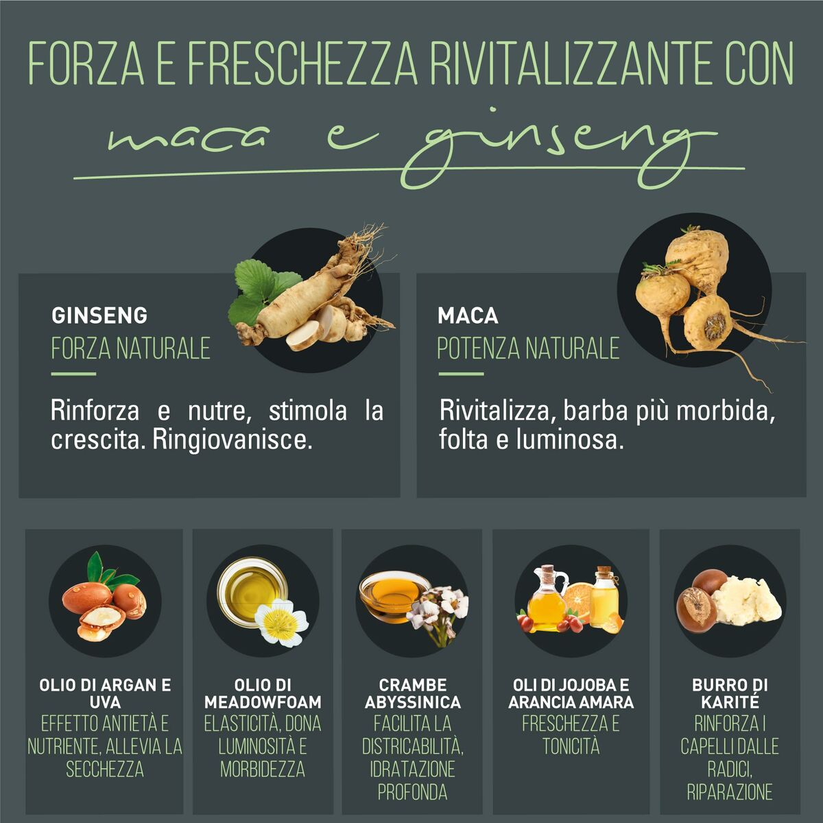 V3HD26361A1AAFECEE33BD02D408A6702B1R6241674P3