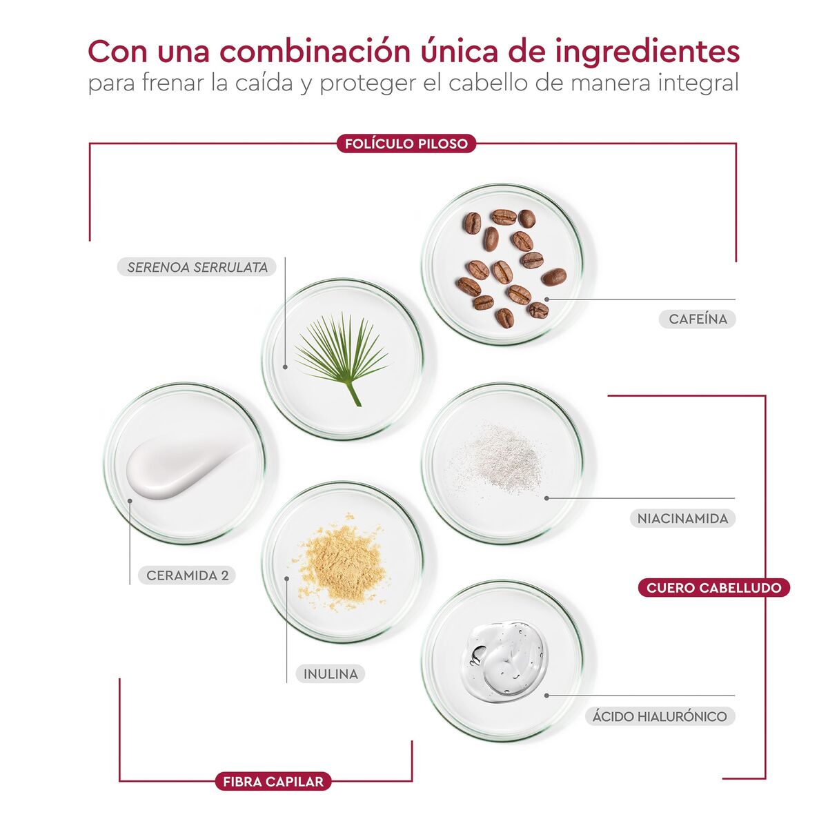 V2HFAF9C5E7D33B4AACDB633D93E10F6771R7404362P7