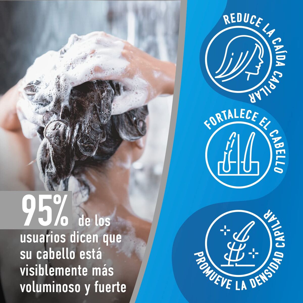 V4H1049488C634EF6C92E60707B56102324R7545008P5