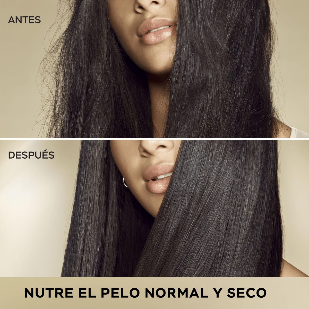 V4H1839DC50EEB326A21D9E7650C1A5D6C5R7506591P4