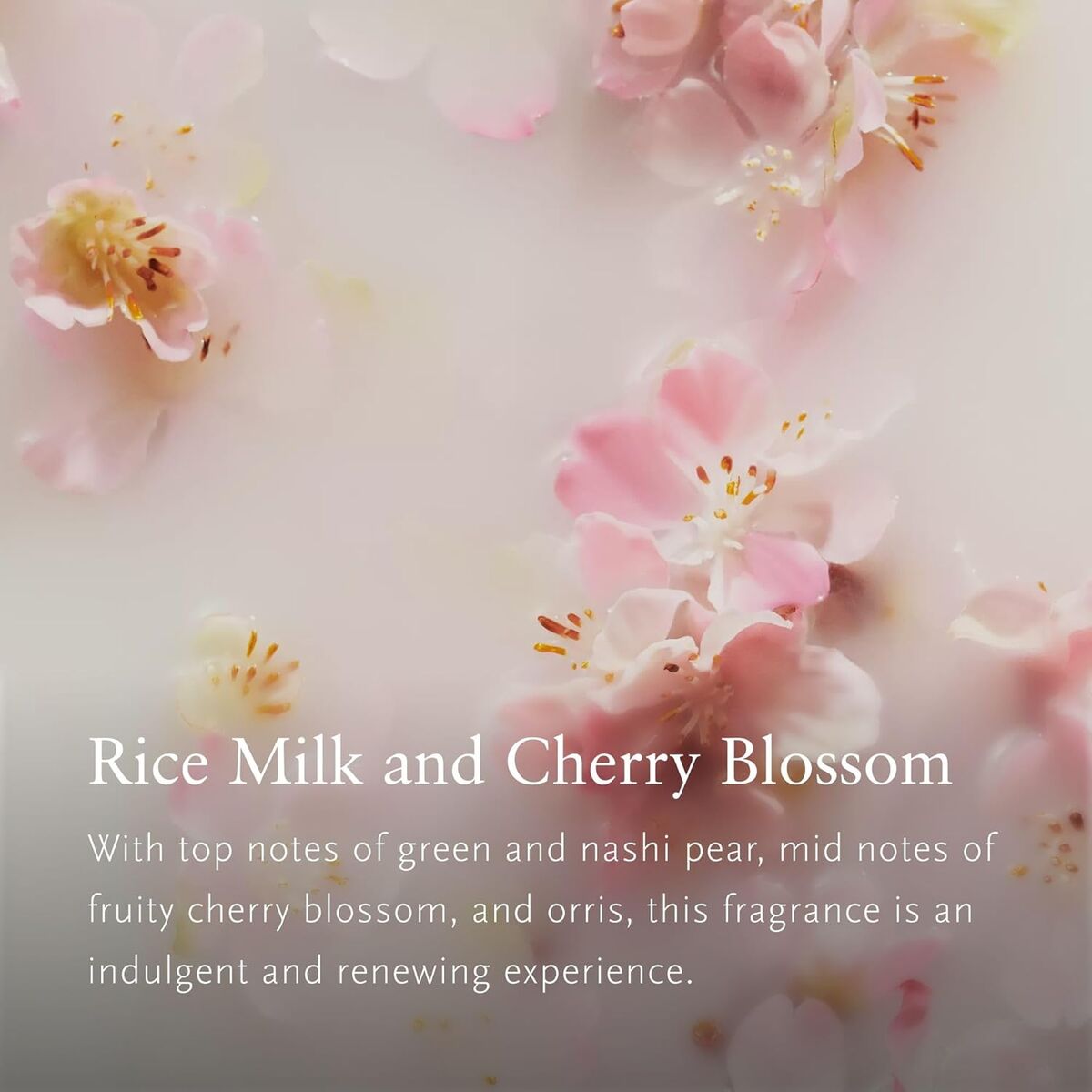 V3H4456BDC81C79DFB1F87A4177B81773CER7586723P4