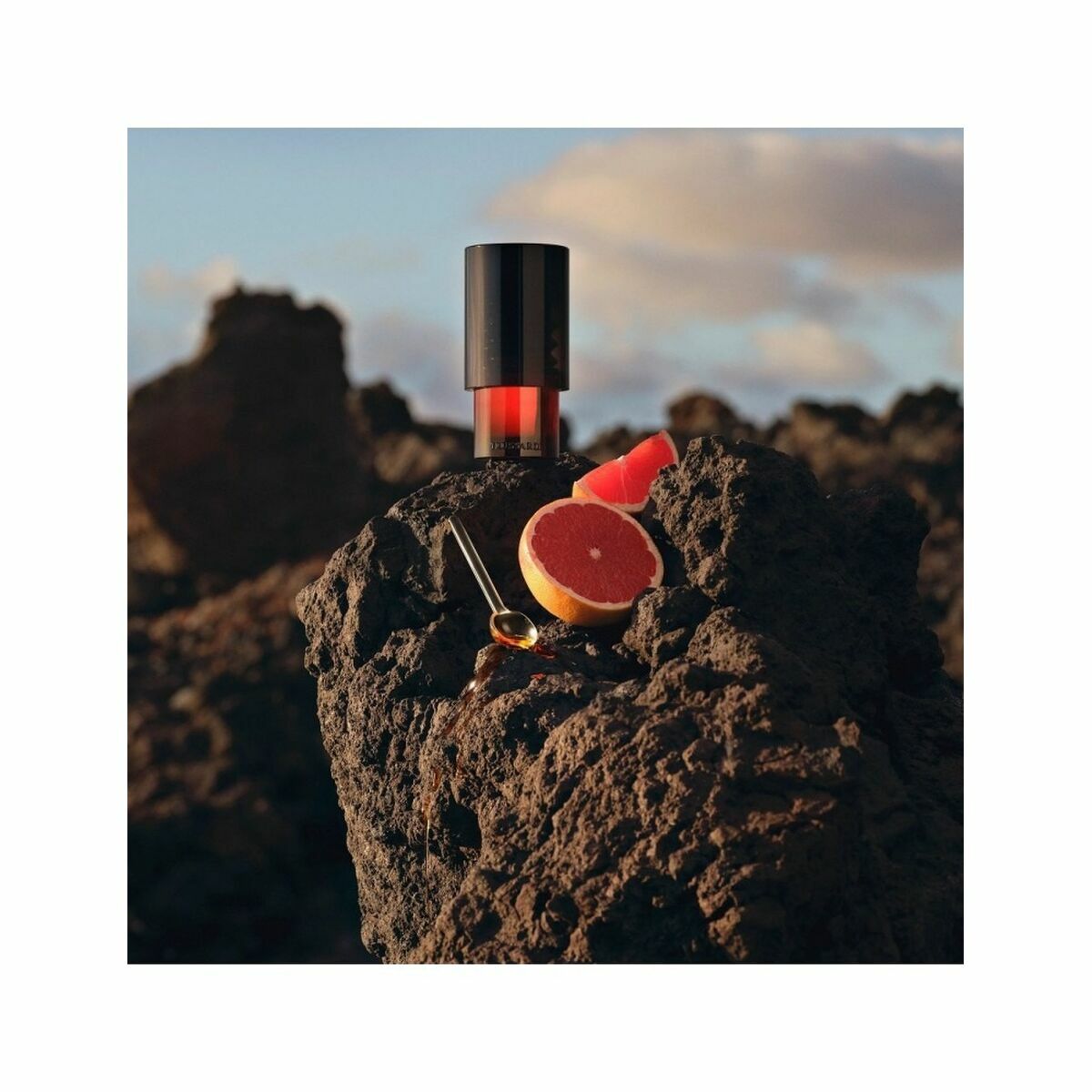 V6HFD2FBFDAE9C0B670DC649856AE377A4FR5102215P2