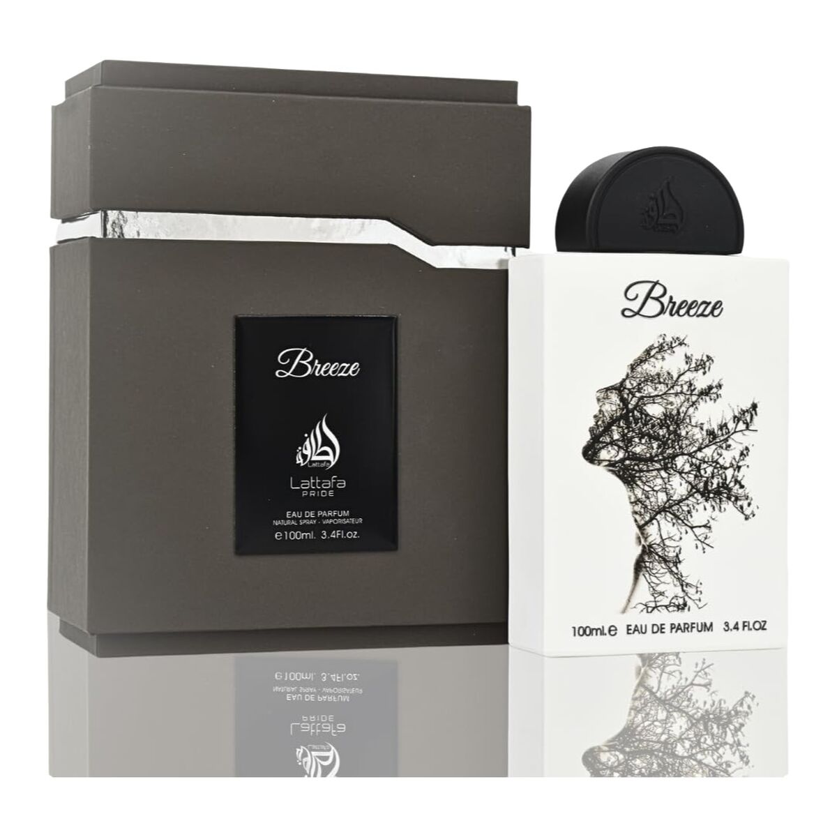 V3H34517EAB6589F59333DEDC1D7EF702C3R5579747P1